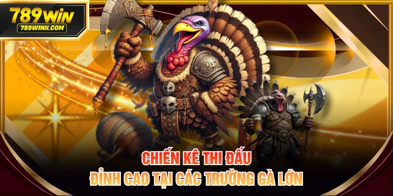 Chiến kê thi đấu đỉnh cao tại các trường gà lớn